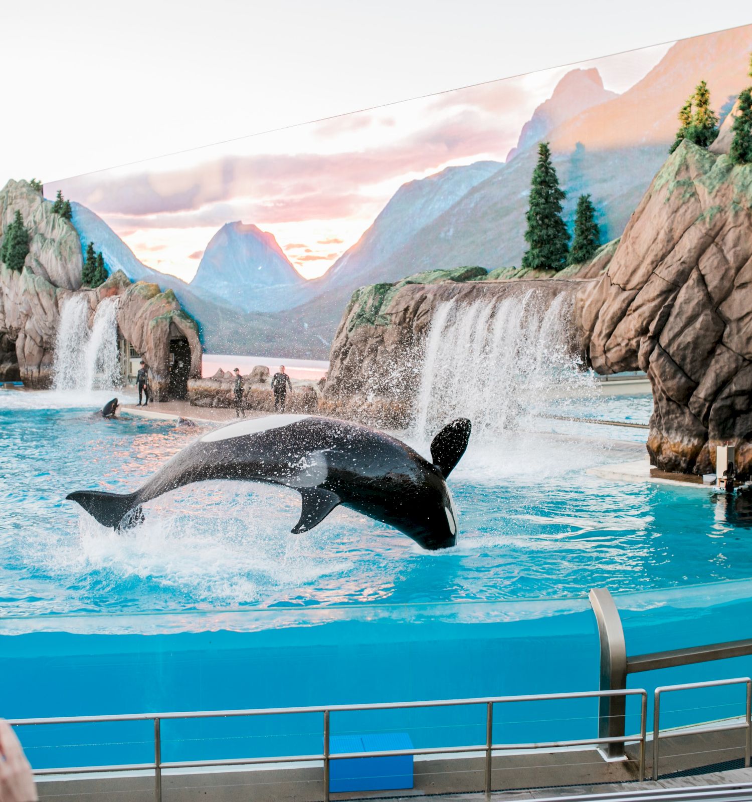 An orca is performing mid-jump in a large pool at an aquarium or marine park with a scenic backdrop, waterfalls, and audience seating.