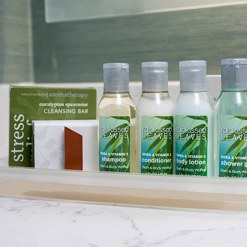 The image shows toiletries on a tray, including shampoo, conditioner, body lotion, shower gel, and a cleansing bar, on a bathroom counter.