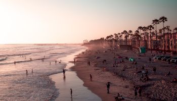 A serene beach scene at sunset with people enjoying the water and shoreline, framed by palm trees and a distant horizon, under a clear sky.