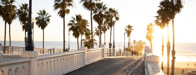 A serene walkway lined with palm trees under a clear sky during sunset, adjacent to the ocean and beach, with railings on both sides in the image.